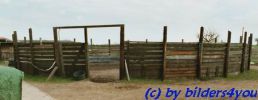 Round Pen