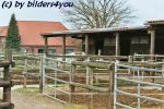 Paddock Boxen