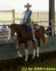 Quarterhorse beim Turnier