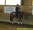 Quarterhorse beim Turnier