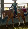 Quarterhorse beim Turnier