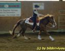 Quarterhorse beim Turnier