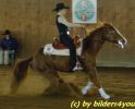 Quarterhorse beim Turnier
