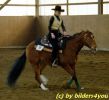 Quarterhorse beim Turnier